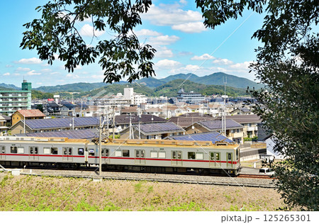 佐野散歩：東武鉄道 佐野線　10000系　栃木県佐野市 125265301