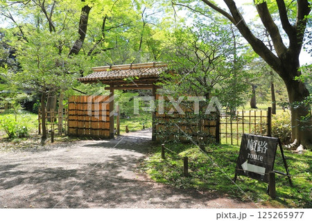 六義園 「内庭大門」 東京都文京区 六義園 「内庭大門」 東京都文京区 125265977