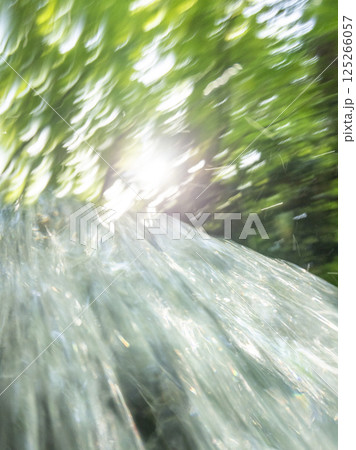 森の清流がキラキラ輝く風景　大山木谷沢渓流 125266057