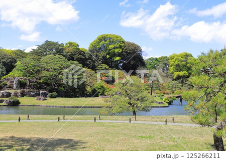 六義園　大泉水を望む風景 125266211