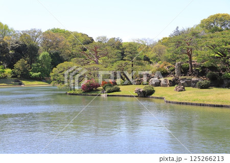 六義園　大泉水を望む風景 125266213
