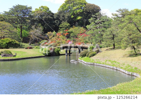 六義園 大泉水を望む風景 六義園 大泉水を望む風景 125266214