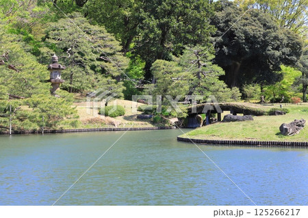 六義園 大泉水を望む風景 六義園 大泉水を望む風景 125266217