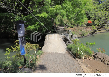 六義園 「渡月橋」 六義園 「渡月橋」 125266326