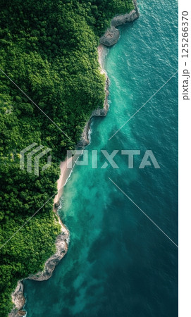 Ai generated Lush tropical rainforest meeting turquoise ocean in aerial view 125266370
