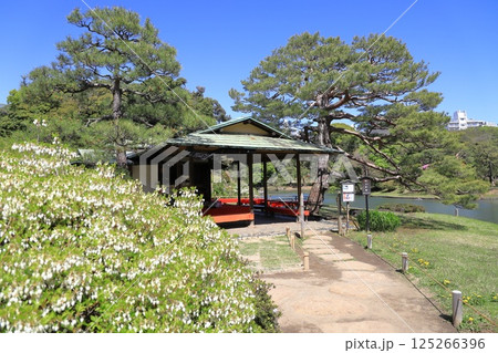 六義園 「吹上茶屋」 六義園 「吹上茶屋」 125266396