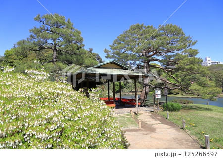 六義園　「吹上茶屋」 125266397