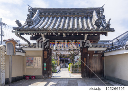 京都　地蔵院椿寺　山門 125266595