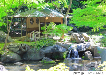 六義園 「滝見茶屋」 六義園 「滝見茶屋」 125266614