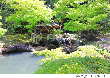 六義園　「滝見茶屋」 125266616
