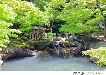 六義園　「滝見茶屋」 125266617