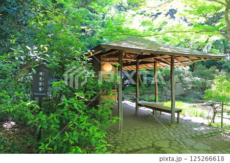 六義園　「滝見茶屋」 125266618