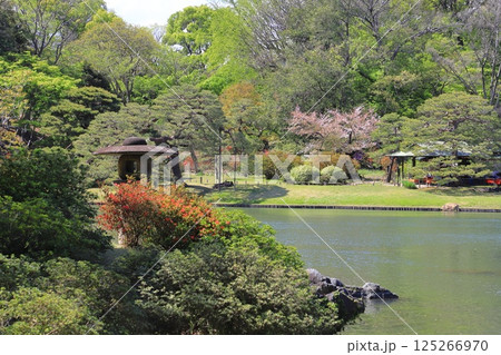 六義園 大泉水を望む風景 六義園 大泉水を望む風景 125266970