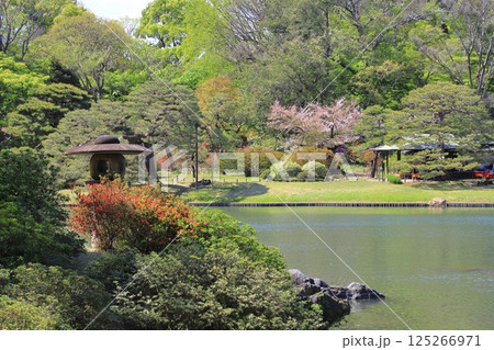 六義園 大泉水を望む風景 六義園 大泉水を望む風景 125266971