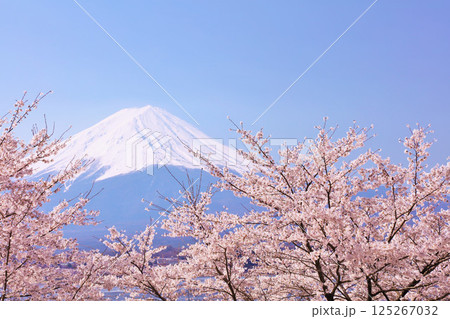 日本の春 富士山と桜 日本の春 富士山と桜 125267032
