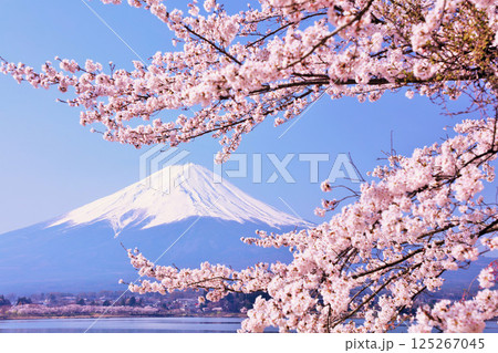 日本の春 富士山と桜 日本の春 富士山と桜 125267045