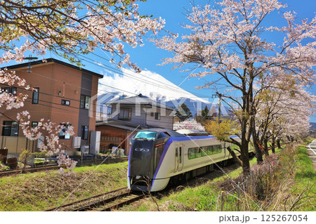 山梨県 春の桜並木と富士急行 そして富士山 山梨県 春の桜並木と富士急行 そして富士山 125267054