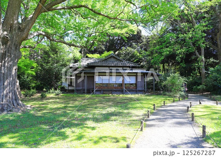 六義園 「心泉亭」 東京都文京区 六義園 「心泉亭」 東京都文京区 125267287