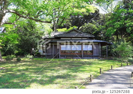 六義園 「心泉亭」 東京都文京区 六義園 「心泉亭」 東京都文京区 125267288