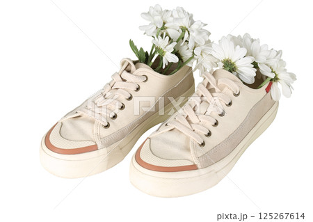 Summer shoes, Sneakers filled with fresh white flowers create a striking contrast and delightful visual appeal, isolated on white, PNG Summer shoes, Sneakers filled with fresh white flowers create a striking contrast and delightful visual appeal, isolated on white, PNG 125267614