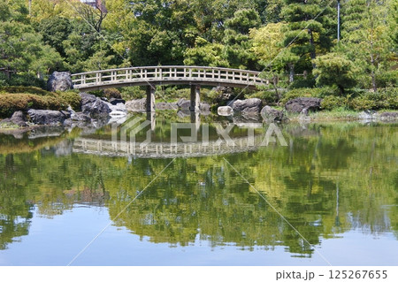 白鳥庭園のくすのき橋 白鳥庭園のくすのき橋 125267655