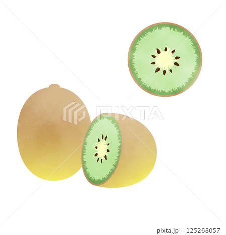 キウイのイラスト-水彩風 125268057