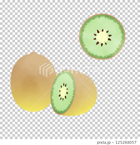 キウイのイラスト-水彩風 125268057