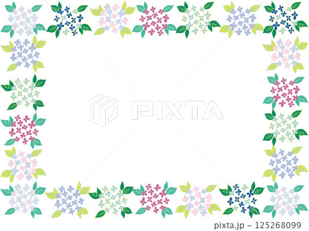 紫陽花　フレーム2 125268099