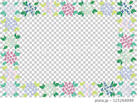 紫陽花　フレーム2 125268099