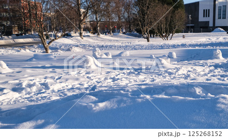 雪だるまの残骸 125268152