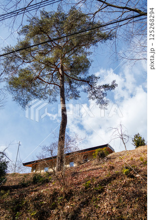 栃木県大谷石切り場近くの奇岩 125268294