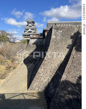 二様の石垣と天守 125268603