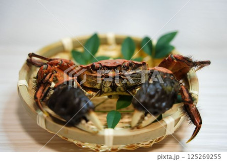 モクズガニの極上の味わい	 125269255