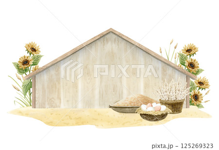 Farm wooden barn or chicken coop with eggs, wheat harvest in wicker basket and millet bird food watercolor isolated illustration. Village scene template with sunflowers for poultry yard designs Farm wooden barn or chicken coop with eggs, wheat harvest in wicker basket and millet bird food watercolor isolated illustration. Village scene template with sunflowers for poultry yard designs 125269323