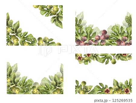 Figs frame. Branch ripe fig fruit with green leaves banner. Hand drawn realistic hand drawn watercolor food, plant rectangular template for jam, label, card print Illustration Isolated from background Figs frame. Branch ripe fig fruit with green leaves banner. Hand drawn realistic hand drawn watercolor food, plant rectangular template for jam, label, card print Illustration Isolated from background 125269535