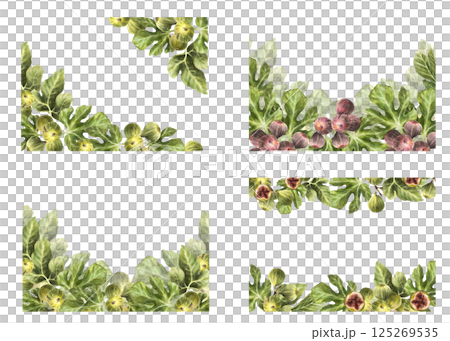 Figs frame. Branch ripe fig fruit with green leaves banner. Hand drawn realistic hand drawn watercolor food, plant rectangular template for jam, label, card print Illustration Isolated from background Figs frame. Branch ripe fig fruit with green leaves banner. Hand drawn realistic hand drawn watercolor food, plant rectangular template for jam, label, card print Illustration Isolated from background 125269535