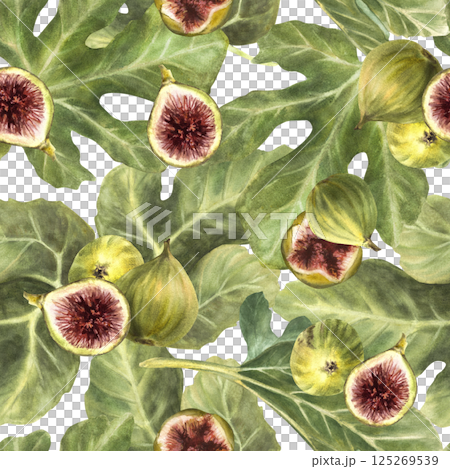 Figs fruit with green leaves seamless pattern Realistic watercolor whole and sliced fruit fabric print Plant, botanical clipart for packing, wallpaper. Hand drawn illustration Isolated from background 125269539