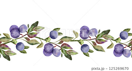 Blueberry seamless border, banner with green leaves on branch, hand drawn watercolor, ripe forest berry. Isolated frame botanical illustration for restaurant, cafe menu, wedding, farmers market 125269670