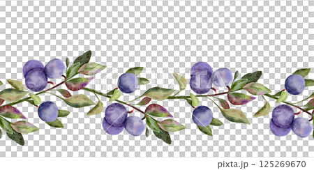 Blueberry seamless border, banner with green leaves on branch, hand drawn watercolor, ripe forest berry. Isolated frame botanical illustration for restaurant, cafe menu, wedding, farmers market Blueberry seamless border, banner with green leaves on branch, hand drawn watercolor, ripe forest berry. Isolated frame botanical illustration for restaurant, cafe menu, wedding, farmers market 125269670