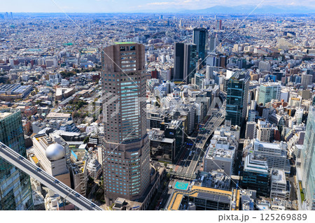東京 渋谷区の都市風景 セルリアンタワー東急ホテル 東京 渋谷区の都市風景 セルリアンタワー東急ホテル 125269889