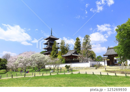 【岡山県】満開の桜と備中国分寺の五重塔(吉備路) 【岡山県】満開の桜と備中国分寺の五重塔(吉備路) 125269930