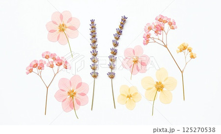 花のボタニカル素材 125270538