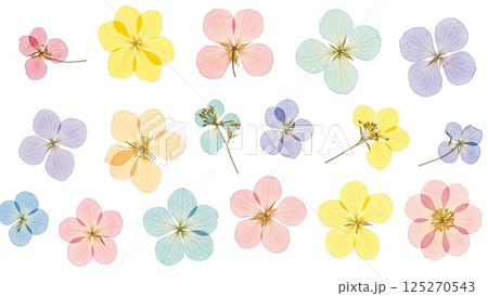 花のボタニカル素材 125270543