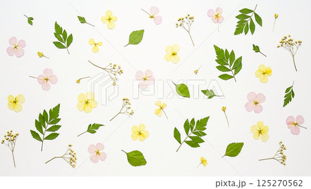 花のボタニカル素材 125270562