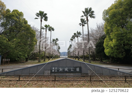 東京都立潮風公園の風景（東京都品川区） 125270622