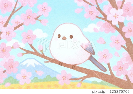 満開の桜を背景に枝にとまる春のシマエナガのイラスト 満開の桜を背景に枝にとまる春のシマエナガのイラスト 125270703