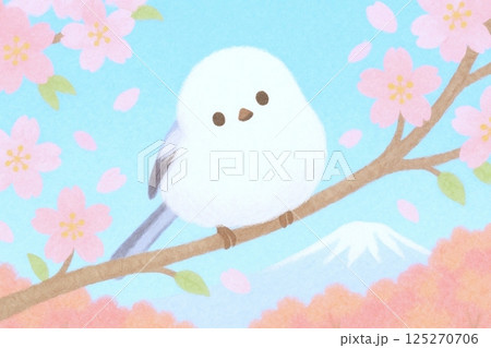満開の桜を背景に首をかしげる春のシマエナガのイラスト 満開の桜を背景に首をかしげる春のシマエナガのイラスト 125270706