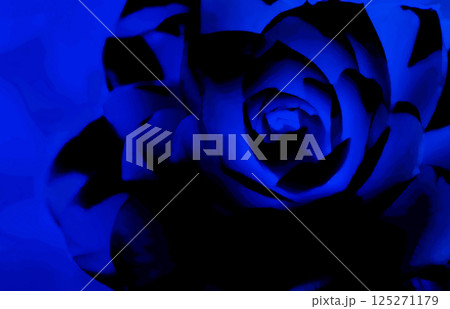 黒地にミッドナイトブルーの椿花が浮かび上がるレタッチ加工アートイメージ 125271179