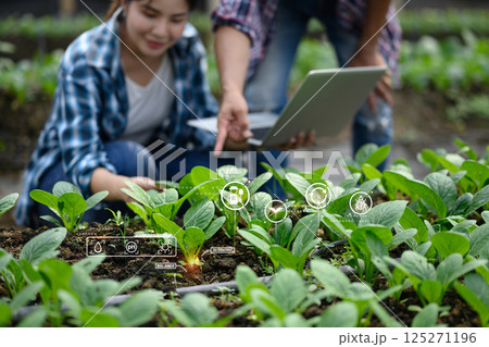 Organic vegetables with futuristic digital interface icons for smart farming and data analysis 125271196