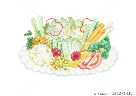 色々な野菜 サラダの盛り合わせ 水彩 イラスト 色々な野菜 サラダの盛り合わせ 水彩 イラスト 125271430
